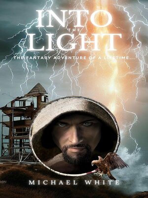 cover image of Into the Light